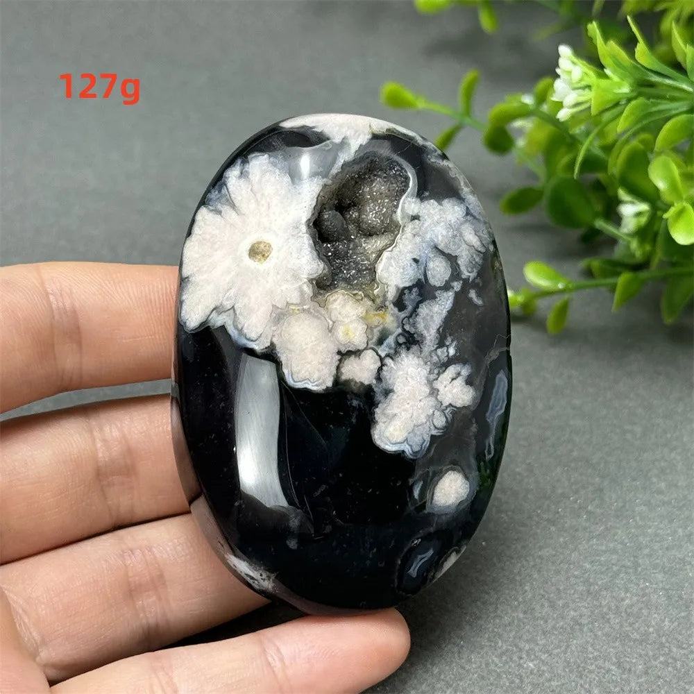 127g Black Cherry Blossom Agate palm stone with charcoal base and cream floral dendrites for Root Chakra grounding.