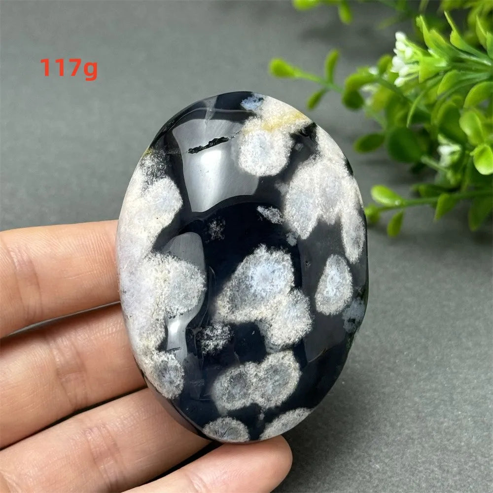 117g Black Cherry Blossom Agate palm stone with charcoal base and cream floral dendrites for Root Chakra grounding.