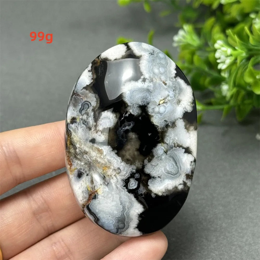 99g Black Cherry Blossom Agate palm stone with charcoal base and cream floral dendrites for Root Chakra grounding.