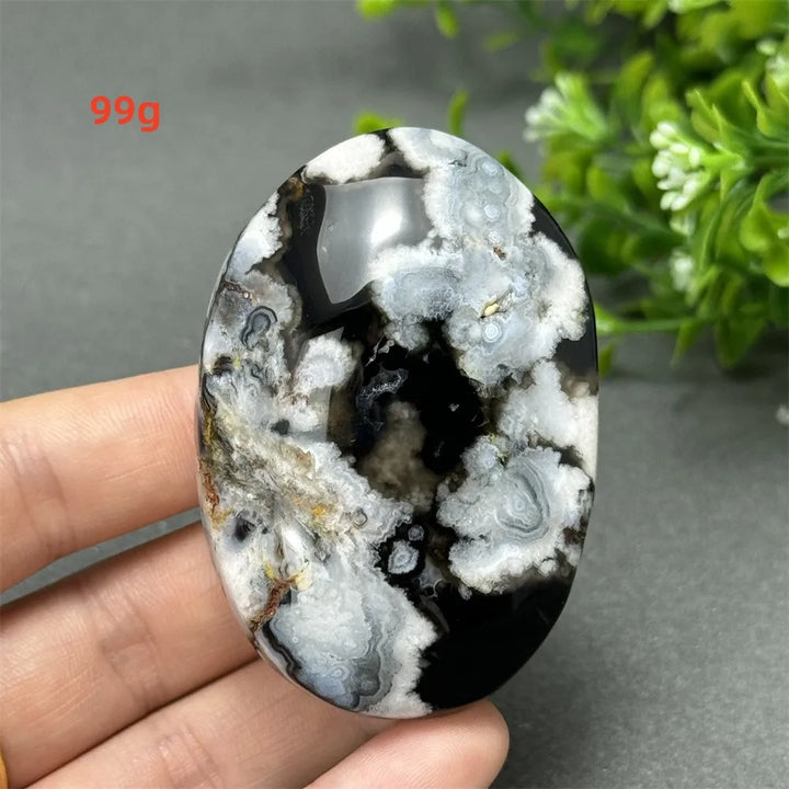 99g Black Cherry Blossom Agate palm stone with charcoal base and cream floral dendrites for Root Chakra grounding.