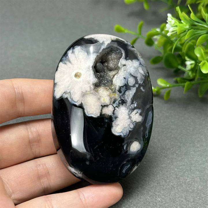 Black Cherry Blossom Agate palm stone with charcoal base and cream floral dendrites for Root Chakra grounding.