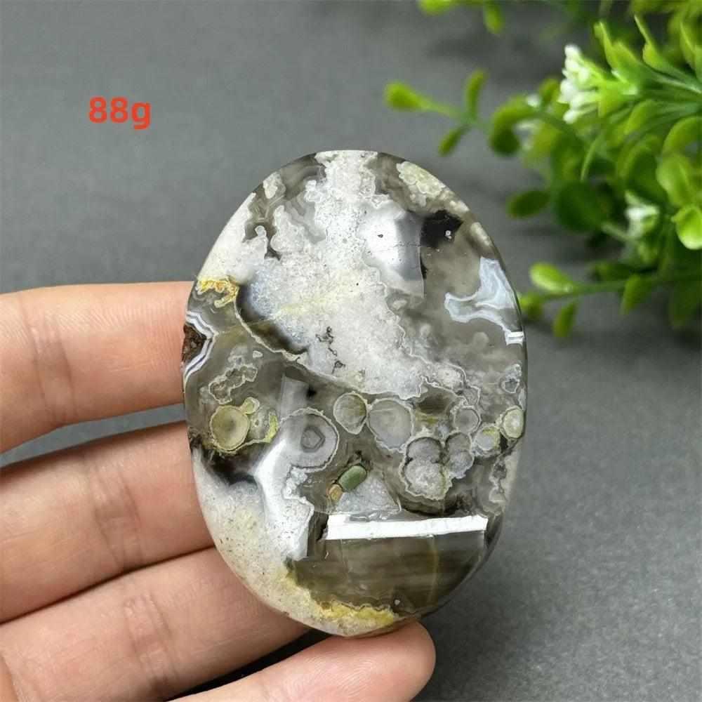 88g Black Cherry Blossom Agate palm stone with charcoal base and cream floral dendrites for grounding Root Chakra energy.