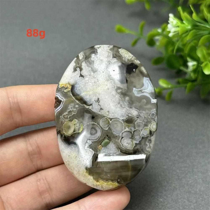 88g Black Cherry Blossom Agate palm stone with charcoal base and cream floral dendrites for grounding Root Chakra energy.
