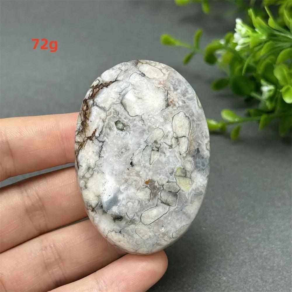 72g Black Cherry Blossom Agate palm stone with charcoal and cream floral dendrites for grounding Root Chakra energy.