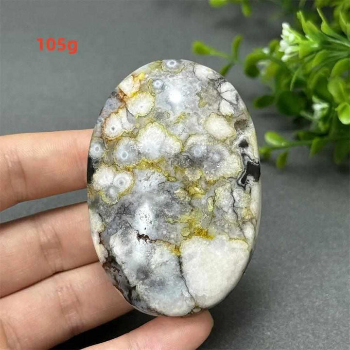 105g Black Cherry Blossom Agate palm stone with charcoal, cream, and blush floral dendrites for grounding meditation.