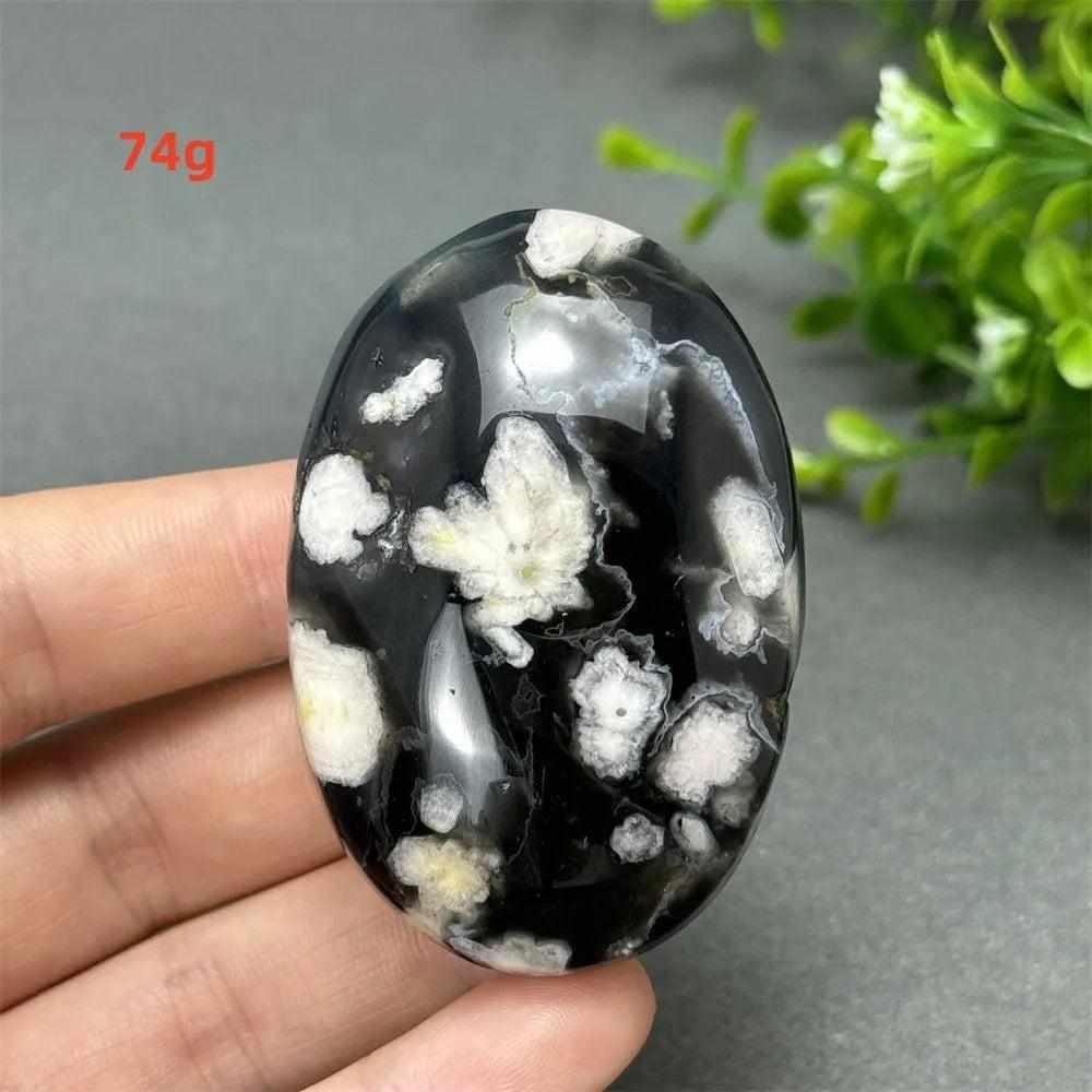74g Black Cherry Blossom Agate palm stone with a charcoal base and cream floral dendrites for Root Chakra grounding.