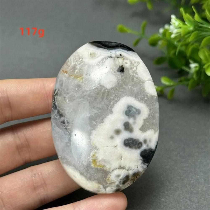 117g Black Cherry Blossom Agate palm stone with charcoal base and cream floral dendrites for Root Chakra grounding.