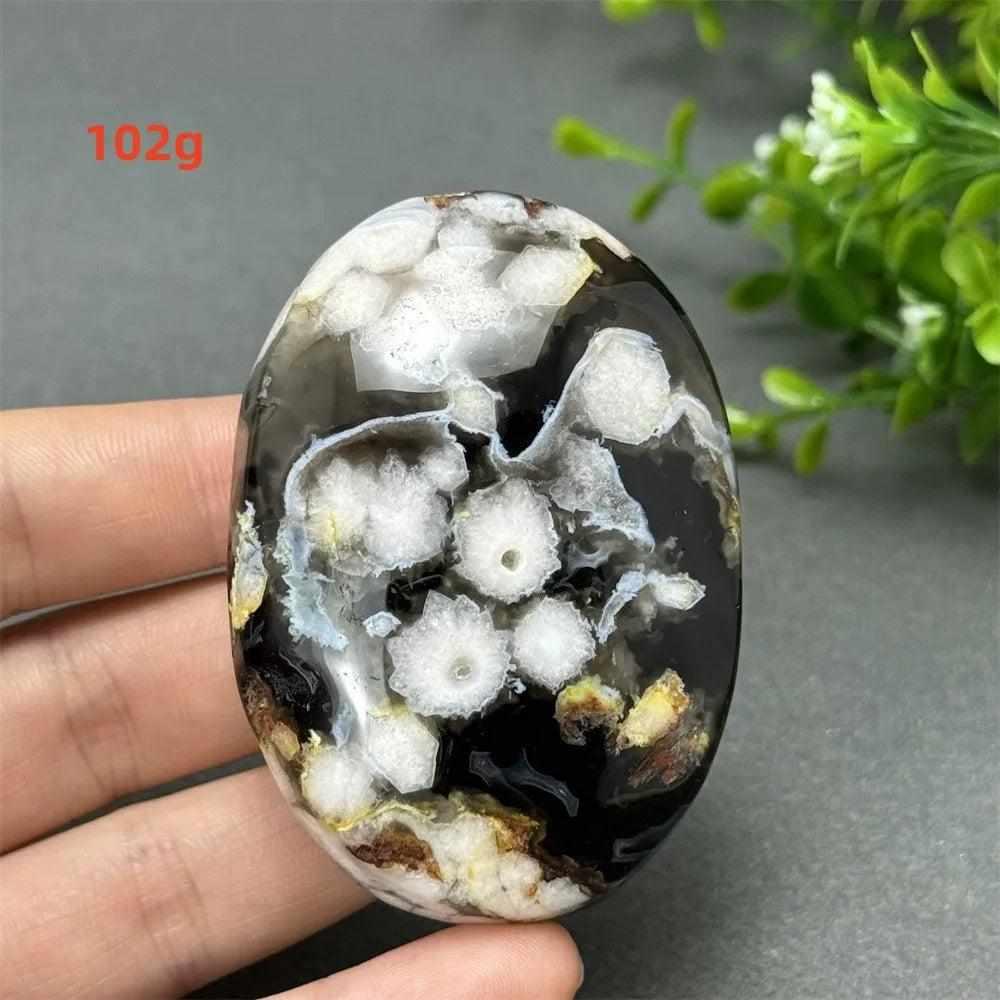 102g Black Cherry Blossom Agate palm stone with charcoal base and cream floral dendrites for Root Chakra grounding.