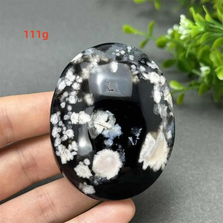 111g Black Cherry Blossom Agate palm stone with charcoal base and cream floral dendrites for Root Chakra grounding.