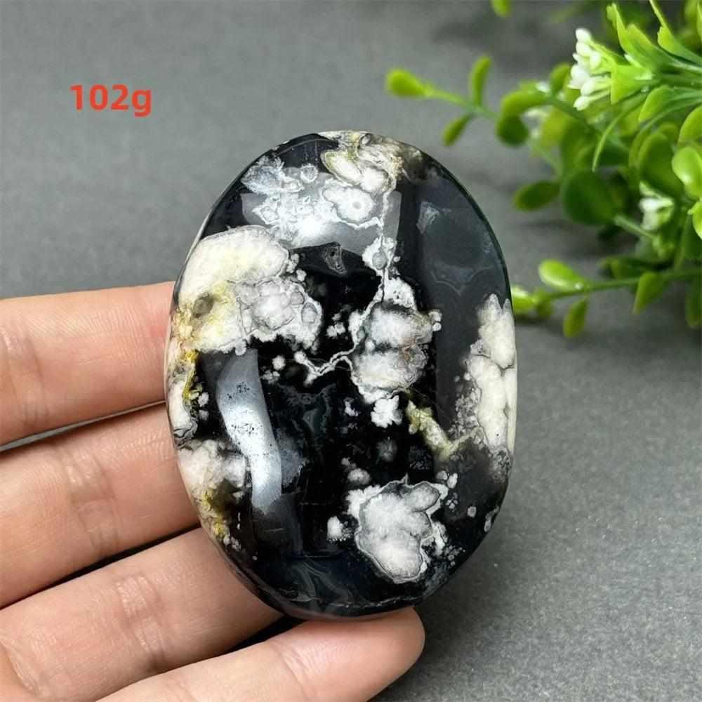 102g Black Cherry Blossom Agate palm stone with charcoal base and cream floral dendrites for grounding Root Chakra energy.