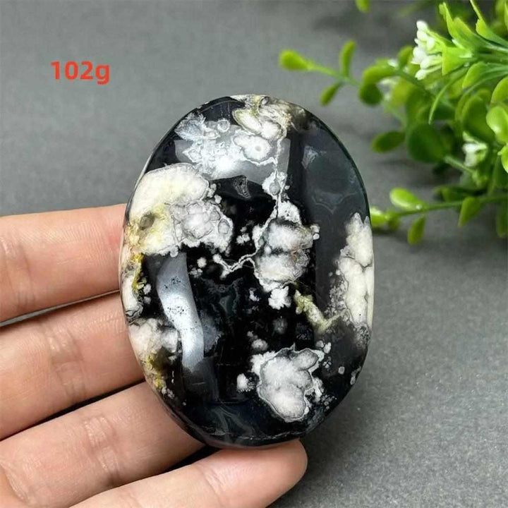 102g Black Cherry Blossom Agate palm stone with charcoal base and cream floral dendrites for grounding Root Chakra energy.