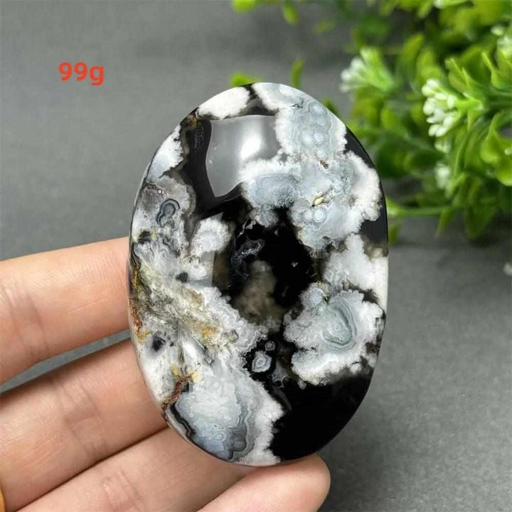 99g Black Cherry Blossom Agate palm stone with charcoal base and cream floral dendrites for Root Chakra grounding.