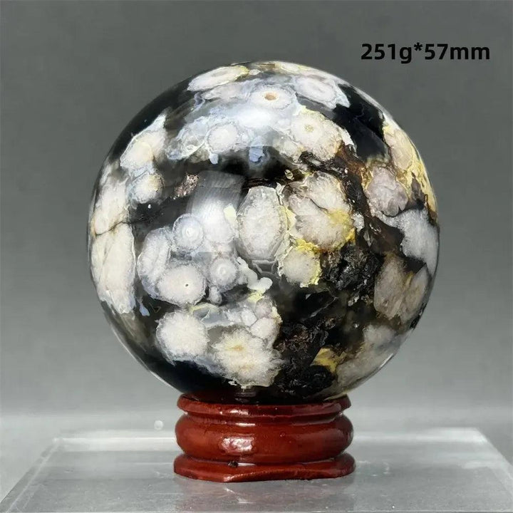 Black Cherry Blossom Agate Sphere, a striking 251g, 57mm polished crystal with deep charcoal and creamy white floral patterns.