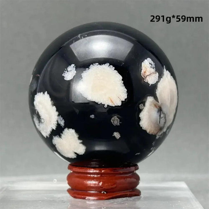 Black Cherry Blossom Agate Sphere, a striking 59mm polished crystal with deep charcoal and creamy white floral patterns.
