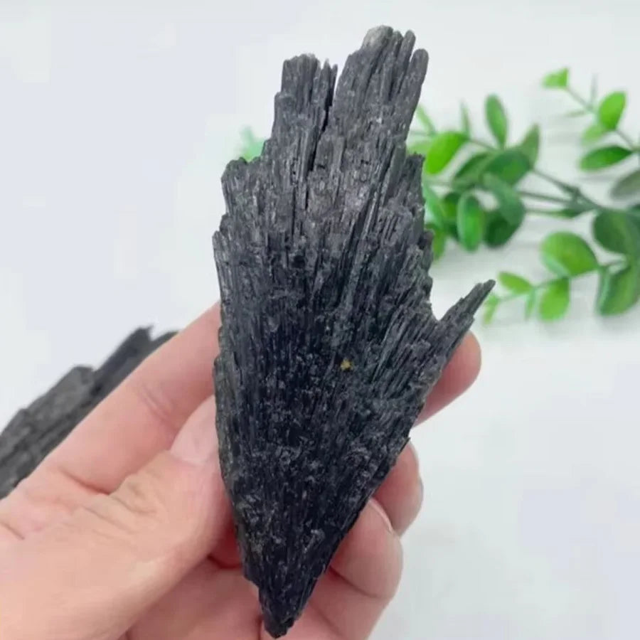 Black Kyanite Fan Raw Blade