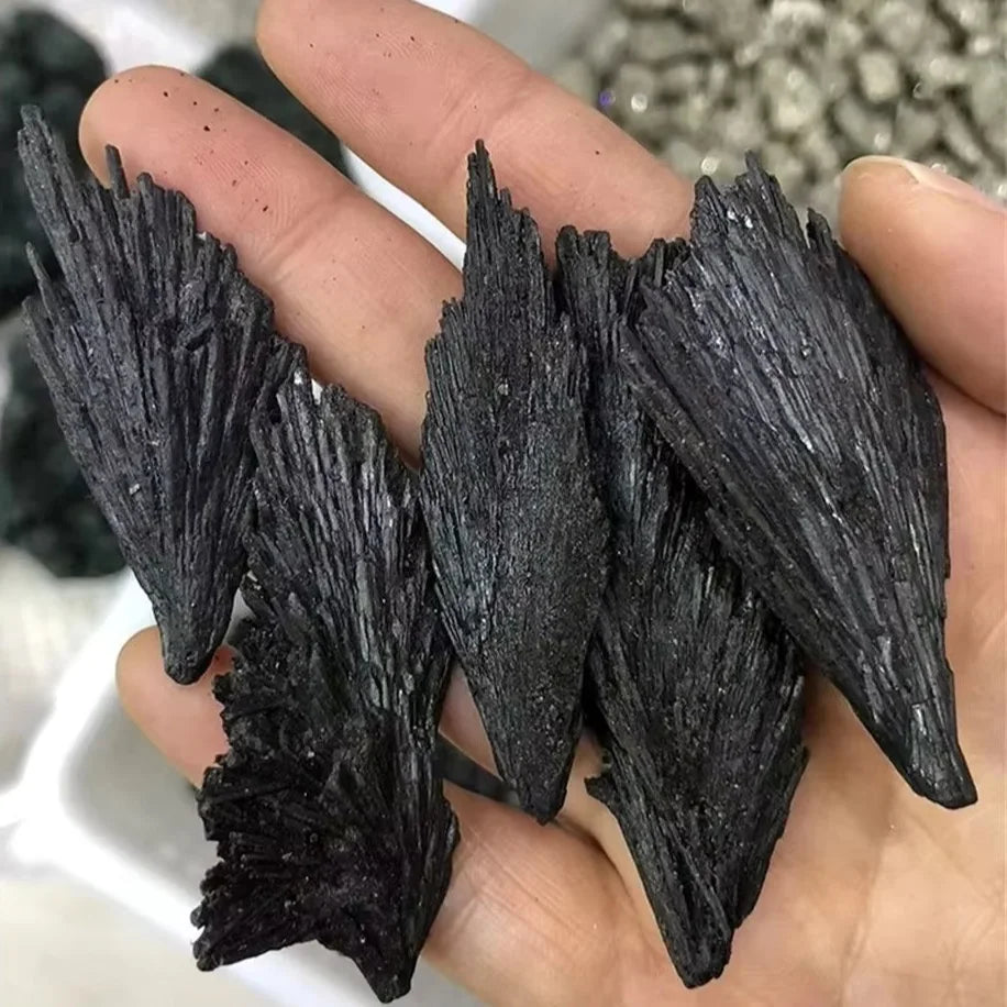 Black Kyanite Fan Raw Blade