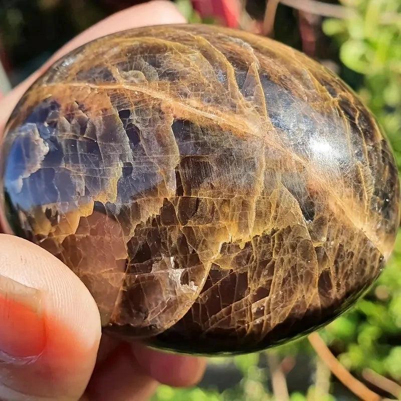 Polished black moonstone palm stone with rich brown veining, perfect for natural relaxation and healing energy.