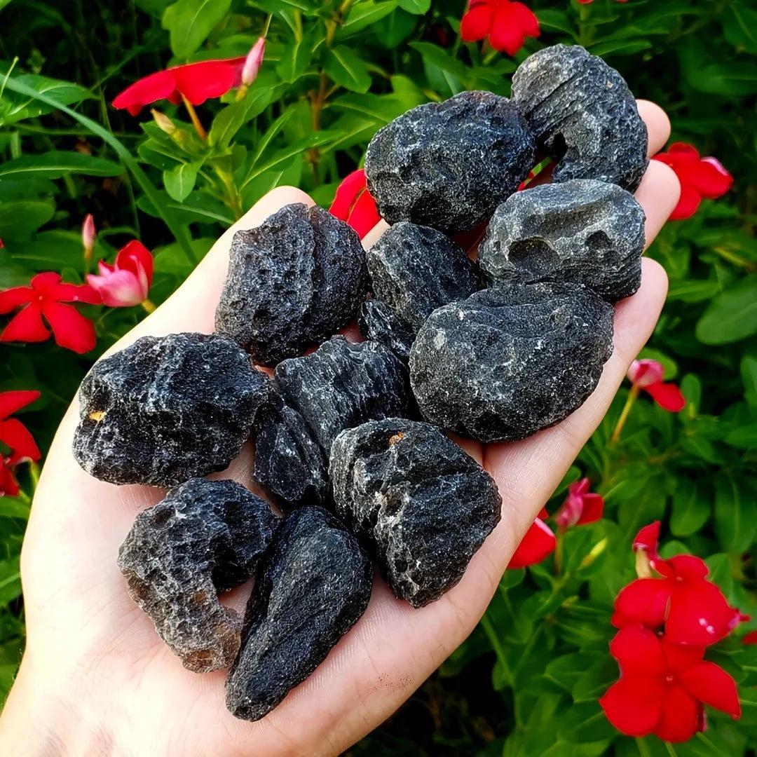 Hand holding multiple rough, deeply black Black Tektite meteorite specimens, offering protection and grounding.