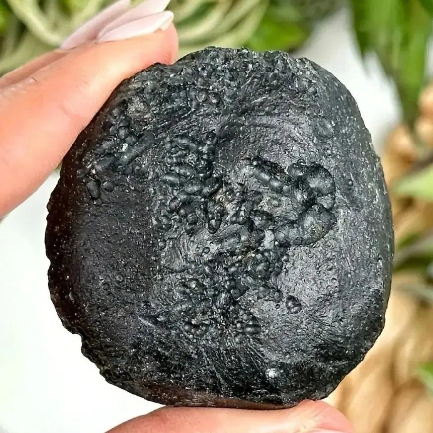 Hand holding a rough, deeply black Black Tektite Natural Meteorite Specimen Space Stone for protection and grounding.