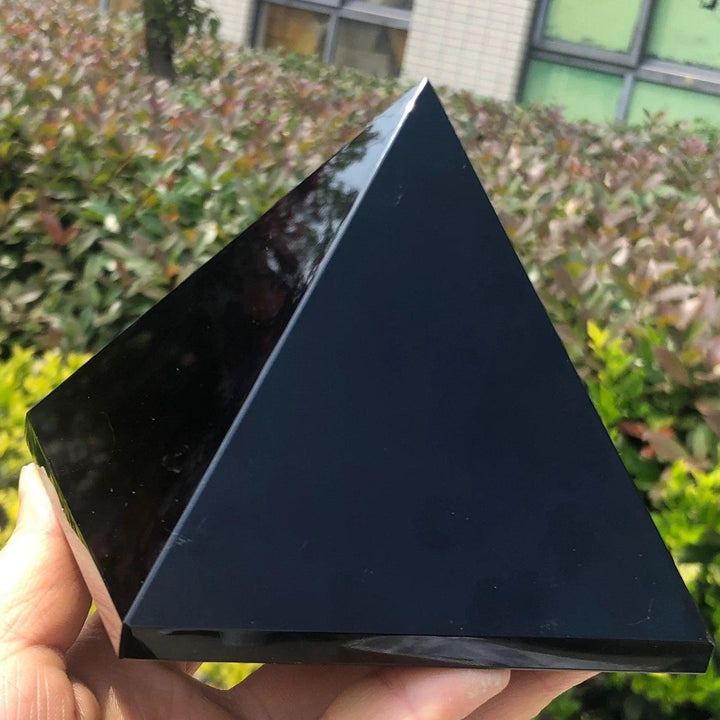 Polished black tourmaline crystal pyramid held in hand, reflecting light, with green foliage in the background.