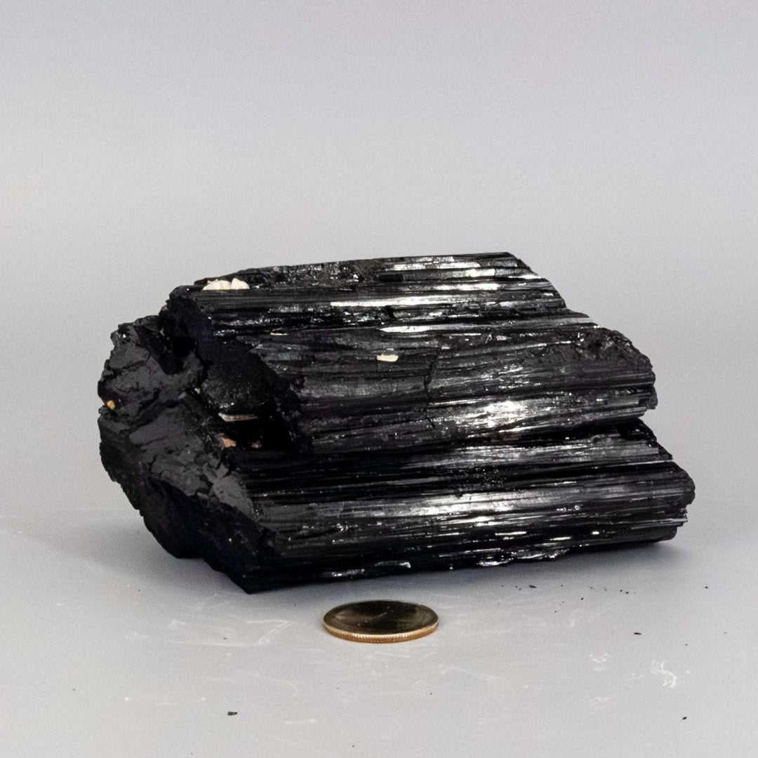 Large, raw Black Tourmaline crystal hunk for grounding and protection, with a quarter for scale.