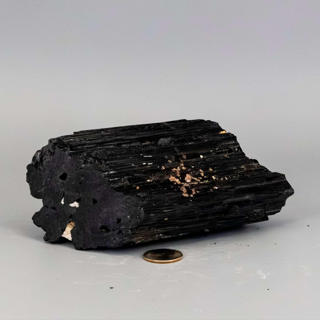 Raw Black Tourmaline crystal hunk with striated structure and visible Quartz veins, offering protection and amplification.