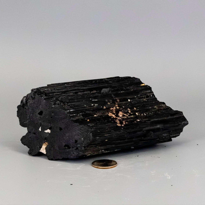Raw Black Tourmaline crystal hunk with striated structure and visible Quartz veins, offering protection and amplification.