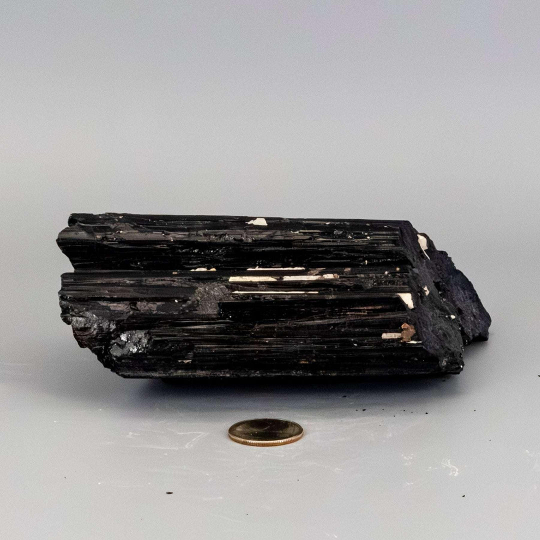 Raw Black Tourmaline crystal hunk with striated structure and white Quartz veins, offering protection and amplification.