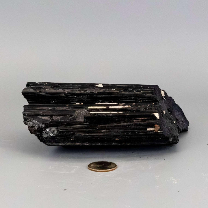Raw Black Tourmaline crystal hunk with striated structure and white Quartz veins, offering protection and amplification.