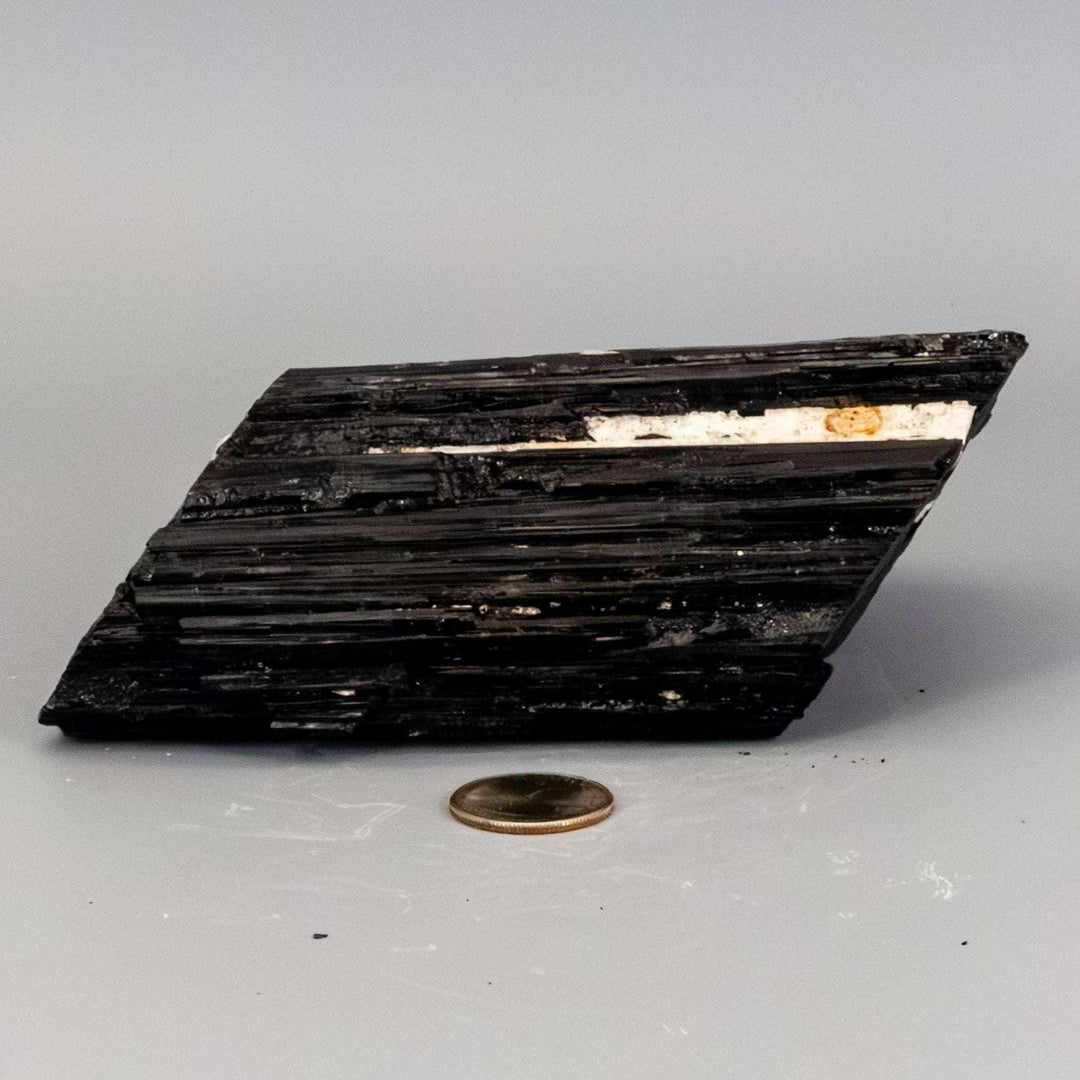Raw Black Tourmaline crystal hunk with striated structure and white Quartz veins, offering protection and amplification.