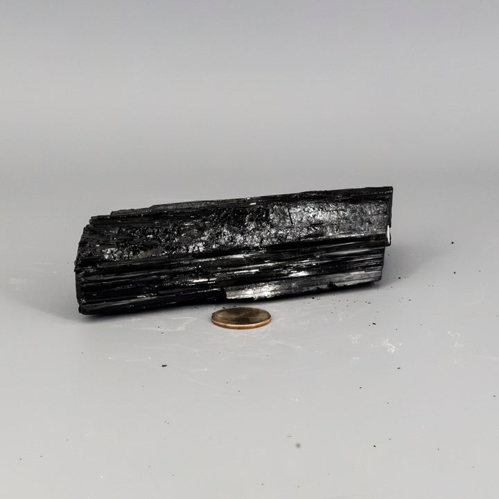 Black Tourmaline Hunk - Elongated (588g)-Raw-Crystal Destiny-Black Tourmaline-588g - 6.25" x 2.50" x 1.50'-Crystal Destiny