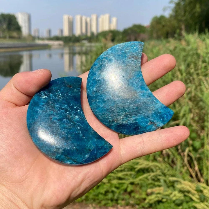 Two polished Blue Apatite crystal crescent moons with vibrant electric blue hues, perfect for focus and creativity.