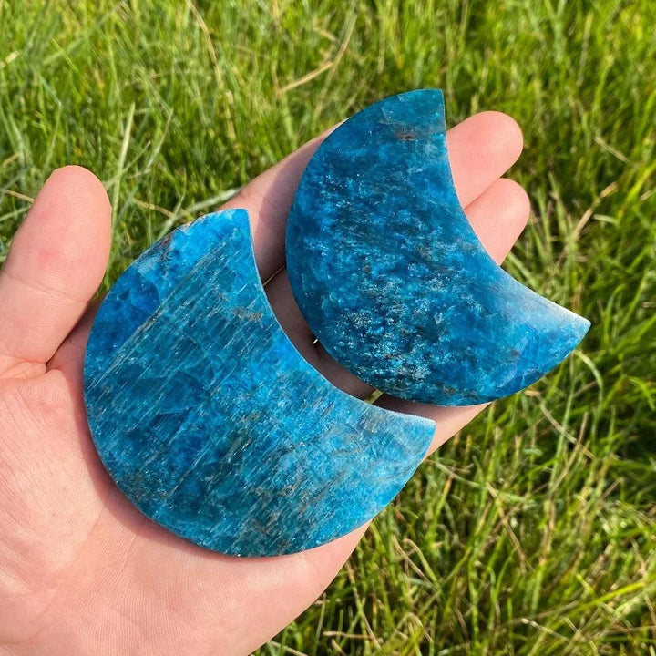 Two polished Blue Apatite crystal crescent moons with vibrant electric blue hues for focus and creative inspiration.