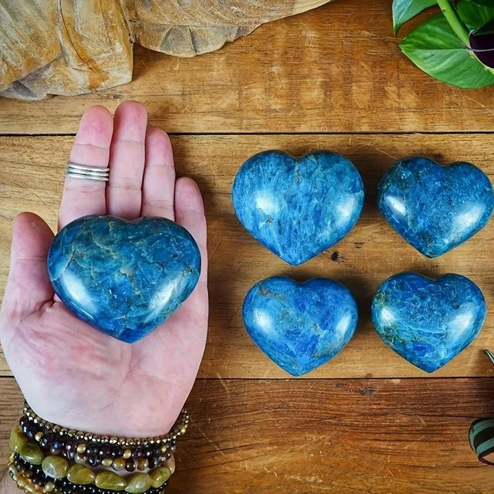 Polished Blue Apatite crystal heart palm stones in a vivid blue-green, perfect for meditation and manifestation.