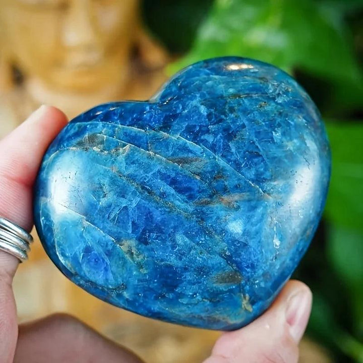 Polished Blue Apatite crystal heart palm stone with deep teal-cobalt hues, perfect for meditation and manifestation.