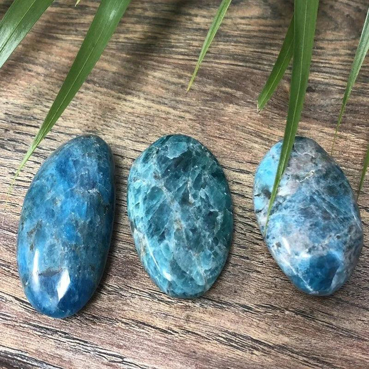 Three polished Blue Apatite crystal palm stones in electric teal and cobalt, perfect for focus and meditation.