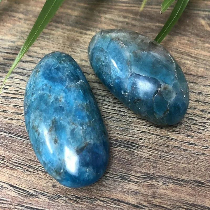 Two polished Blue Apatite crystal palm stones with vibrant electric blue hues for focus, meditation, and healing.
