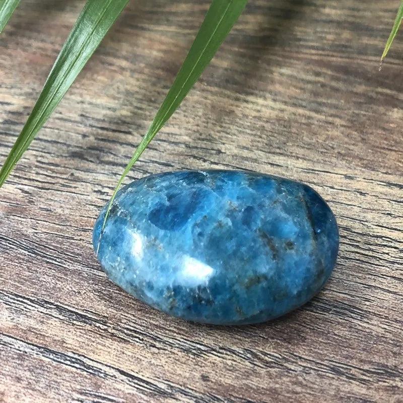 Polished Blue Apatite crystal palm stone with vibrant teal and cobalt hues for focus, meditation, and calm energy.