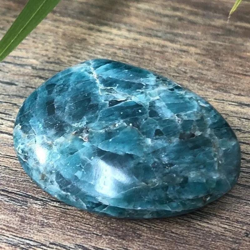 Polished Blue Apatite crystal palm stone with vibrant teal and cobalt hues for focus, meditation, and calm energy.