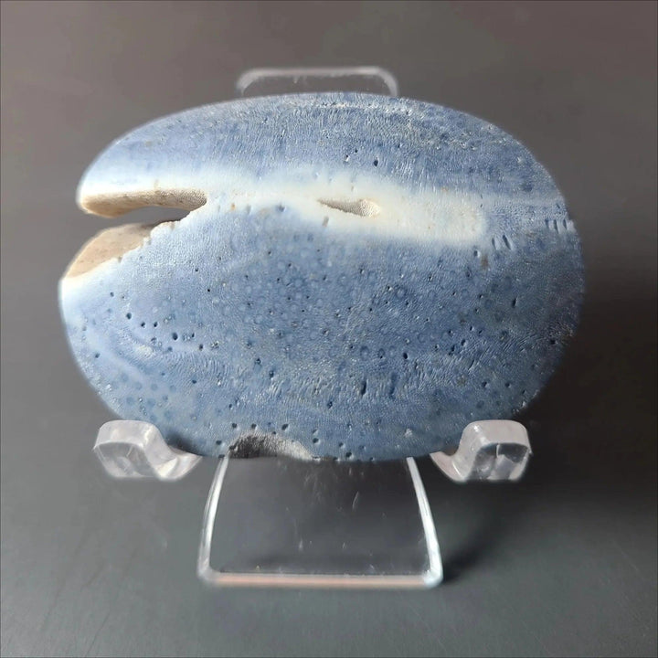 Blue Coral Jasper Crystal Polished Palm Stone with calming blue-green marbling for anxiety relief.