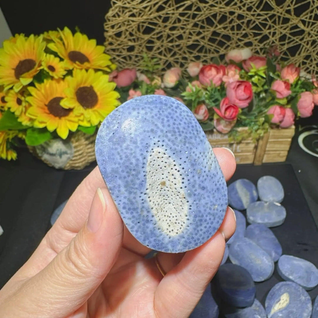 Polished Blue Coral Jasper Crystal Palm Stone with calming blue and white patterns.