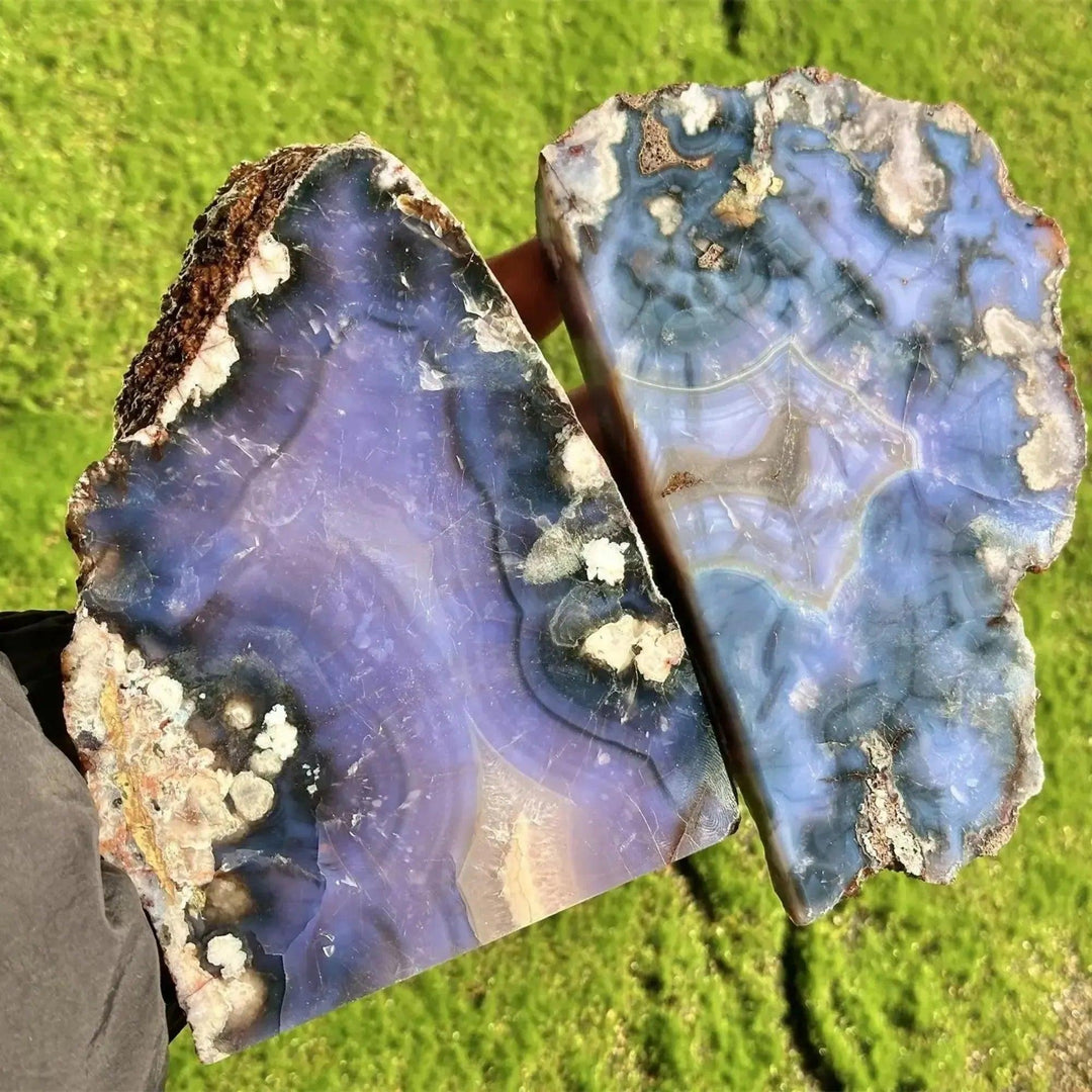 Two polished blue flower agate crystal slabs with cherry blossom patterns, held by Crystal Destiny.