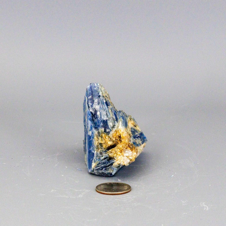 Vivid Blue Kyanite blades naturally embedded in a Clear Quartz cluster, a self-cleansing, amplifying collector's specimen.