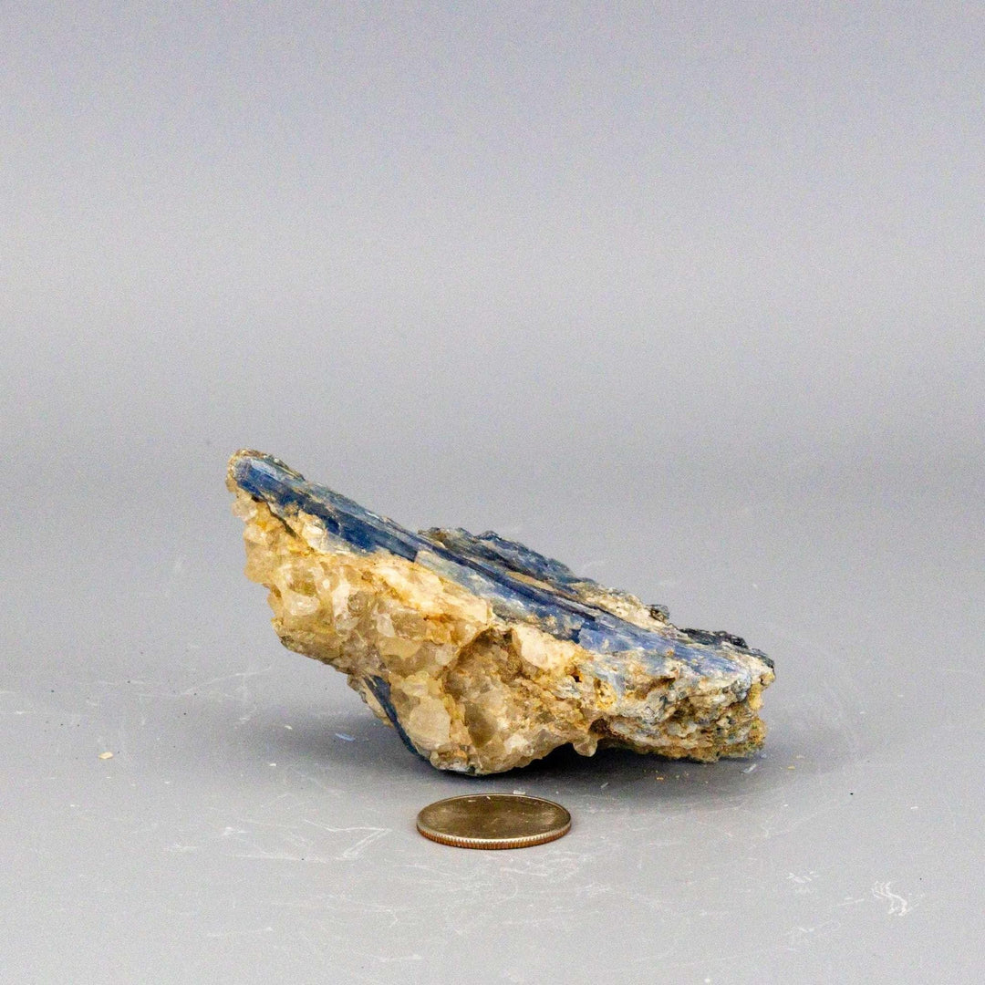 Vivid Blue Kyanite blades naturally embedded in a Clear Quartz cluster, a self-cleansing, amplifying collector's specimen.
