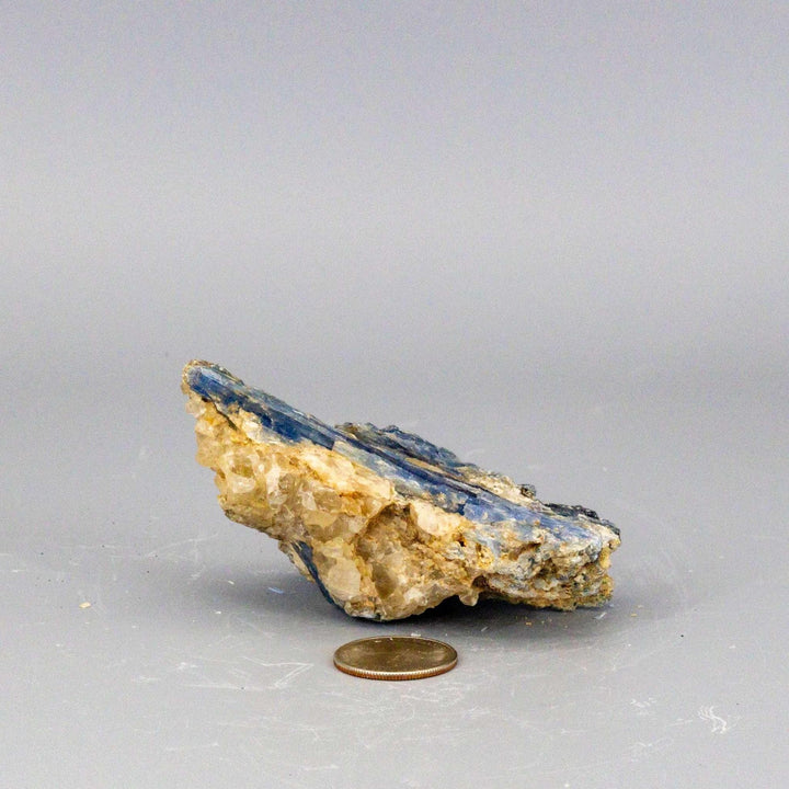 Vivid Blue Kyanite blades naturally embedded in a Clear Quartz cluster, a self-cleansing, amplifying collector's specimen.
