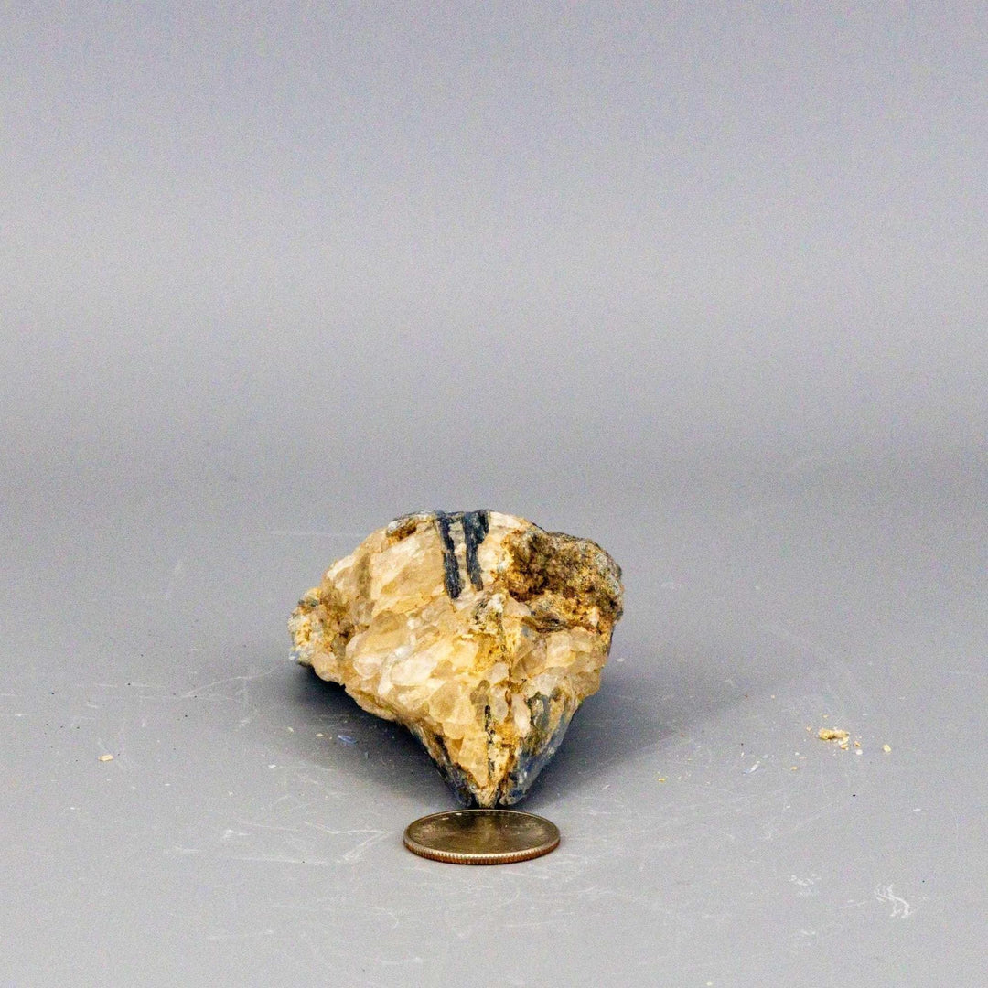 Vivid blue Kyanite blades naturally embedded in a Clear Quartz cluster, a self-cleansing, amplifying collector's specimen.