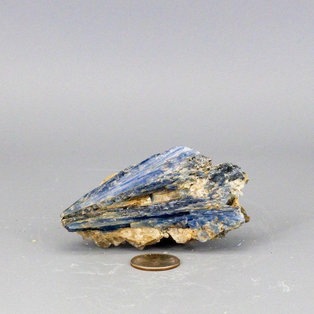 Vivid blue Kyanite blades naturally embedded in a Clear Quartz cluster, a self-cleansing, amplifying collector-grade specimen.