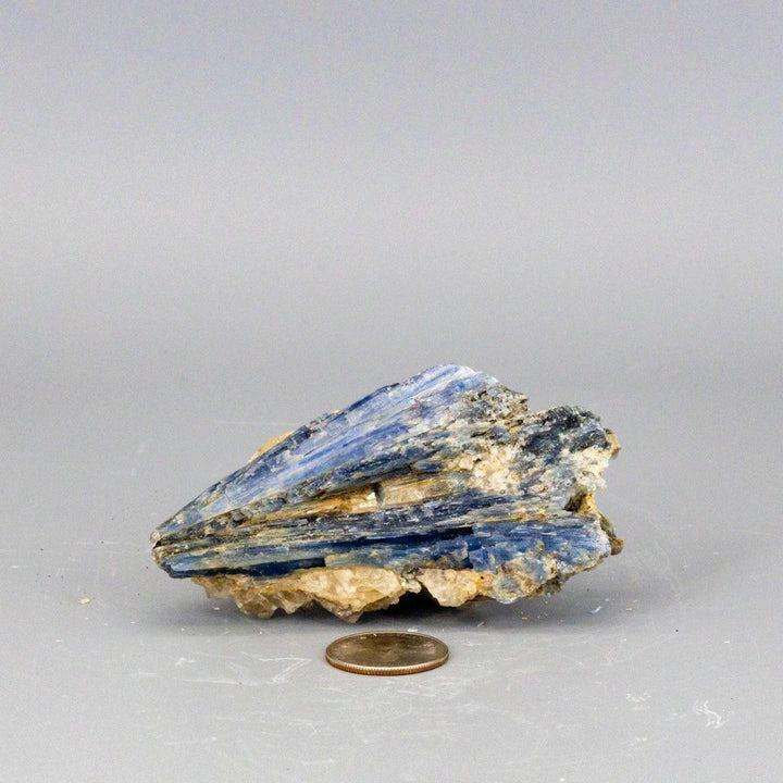 Vivid blue Kyanite blades naturally embedded in a Clear Quartz cluster, a self-cleansing, amplifying collector-grade specimen.