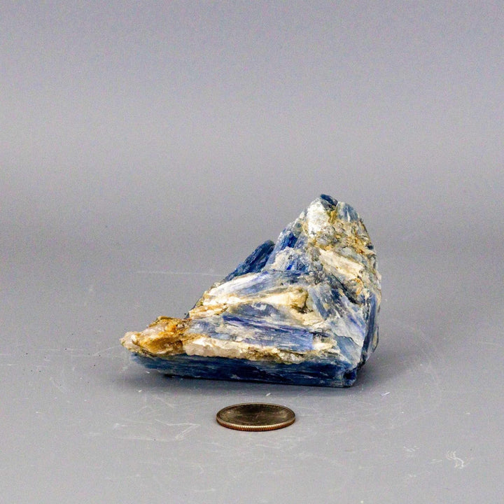 Vivid blue Kyanite blades naturally embedded in a Clear Quartz cluster, a self-cleansing, amplifying crystal specimen.