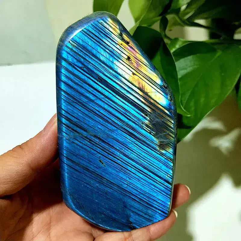 Blue Labradorite Crystal Freeform-Freeforms-Ali-Labradorite-A21 432g116-67mm-Crystal Destiny
